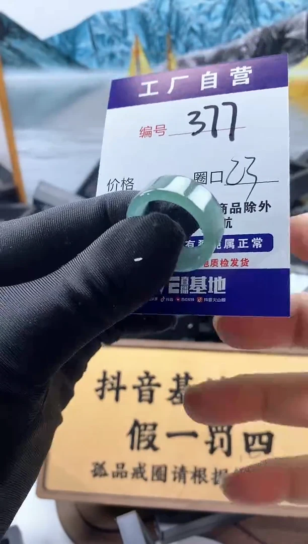 未镶嵌戒圈翡翠377