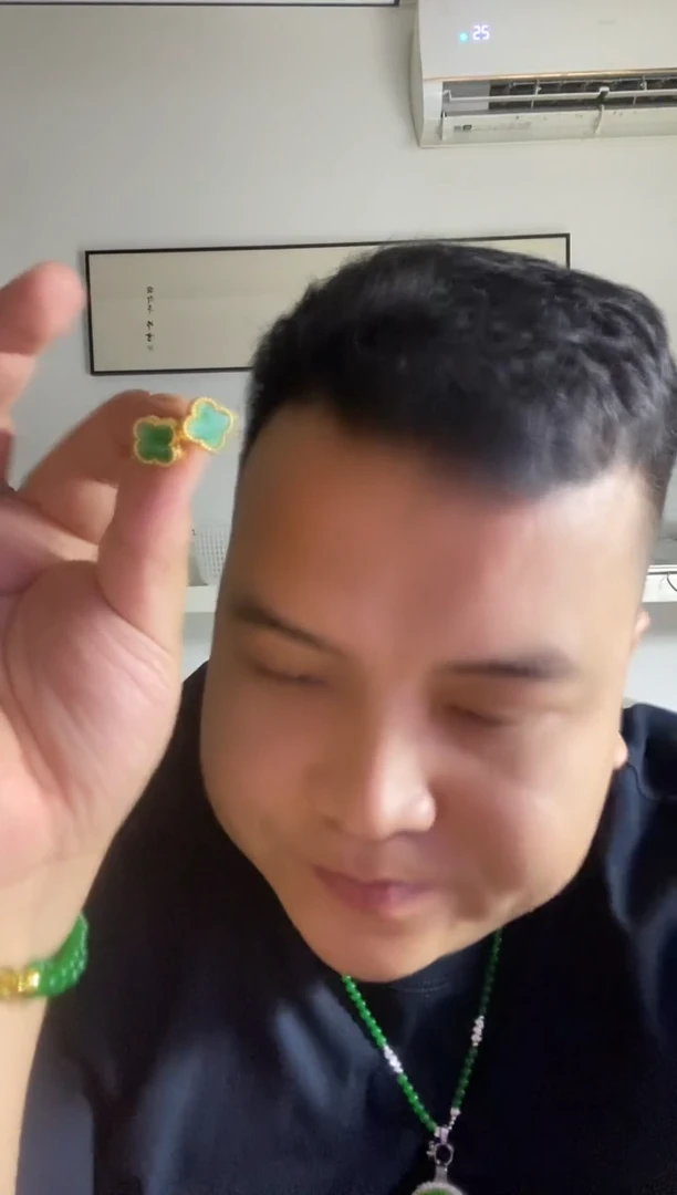 翡翠14K金镶嵌颈饰240耳钉