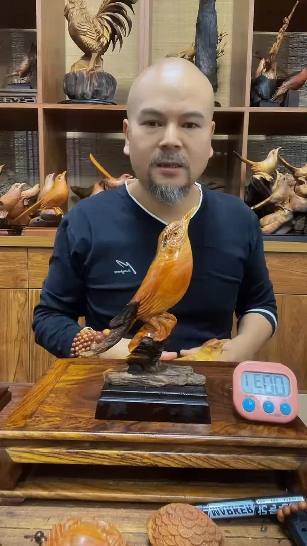 松木林*星定向 林金星