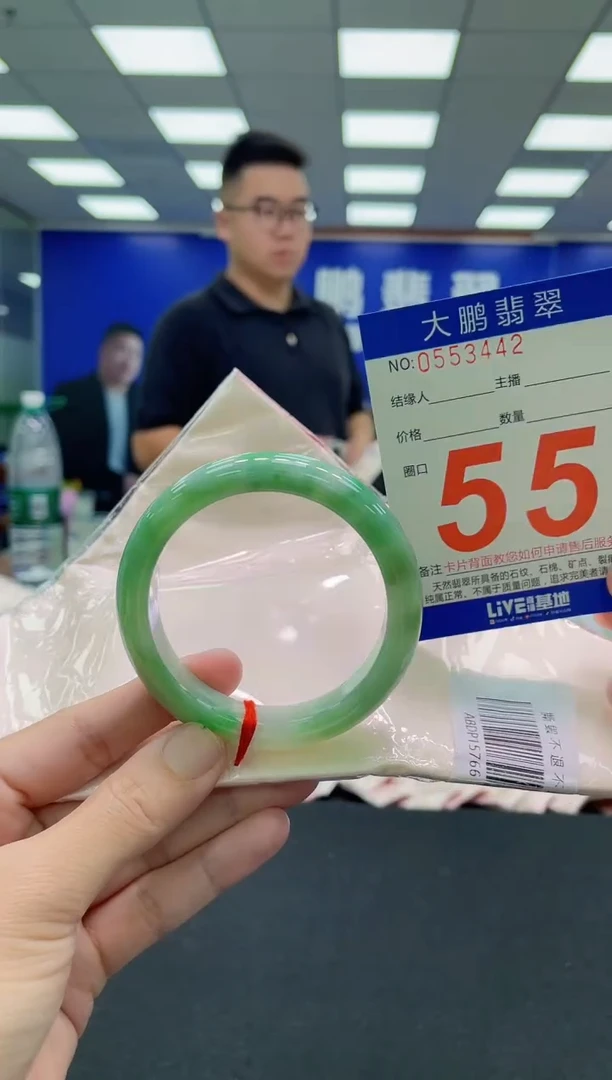 未镶嵌手镯翡翠AAAAAAAAA