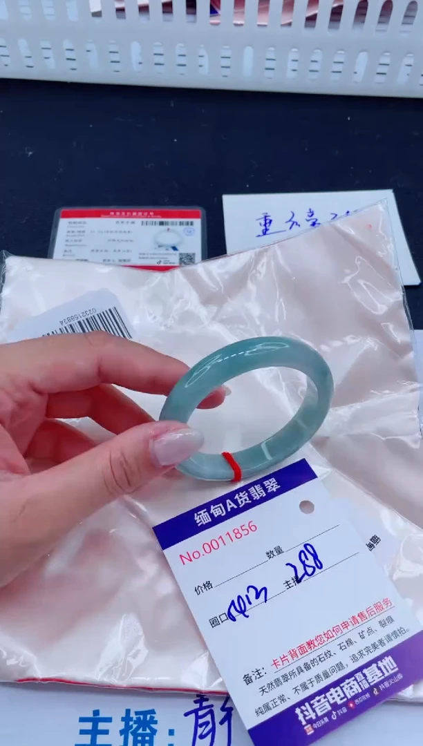 未镶嵌手镯翡翠288