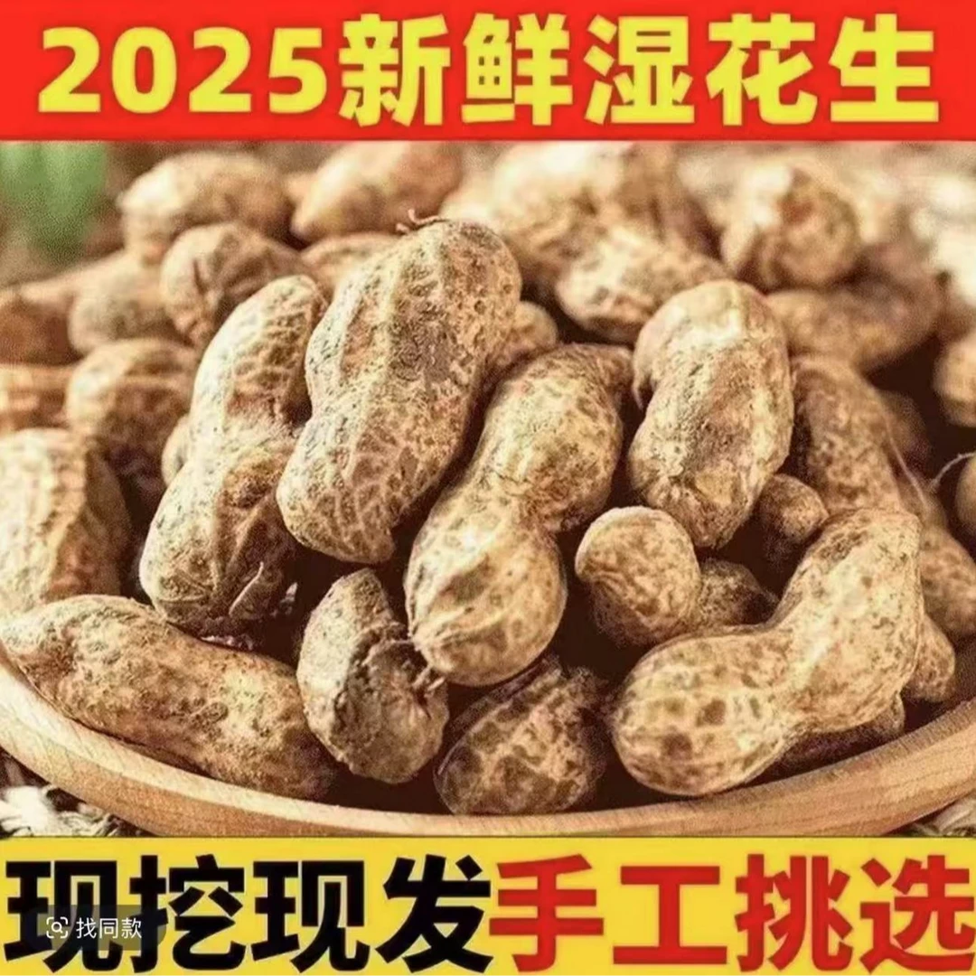 新鲜湿花生带壳现挖粉皮花生生花生可水煮 人工挑选