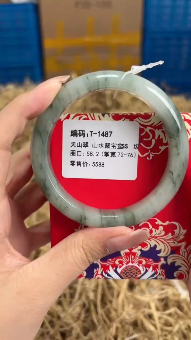 未镶嵌手镯石英质玉T-1487