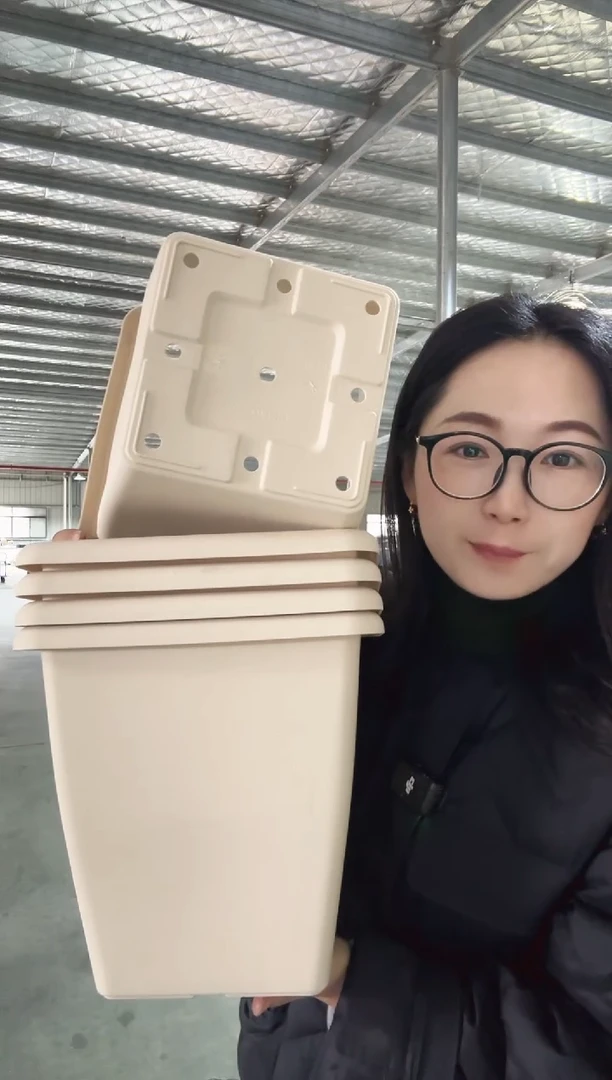 【闪购商品】塑料塑料木棉250米兰黄5只装