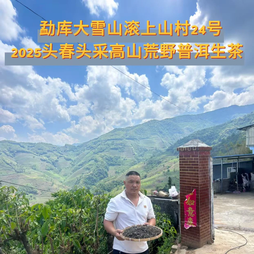 2025 年 高山荒野普洱生 西半山 （散）茶500克