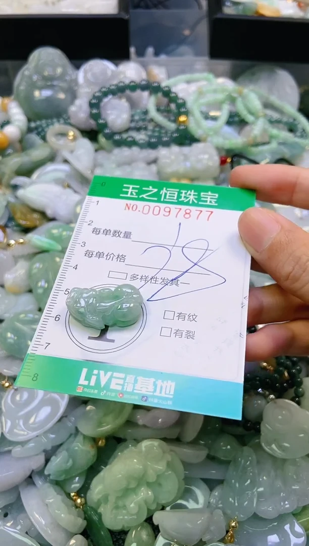 翡翠未镶嵌颈饰闪购0097877