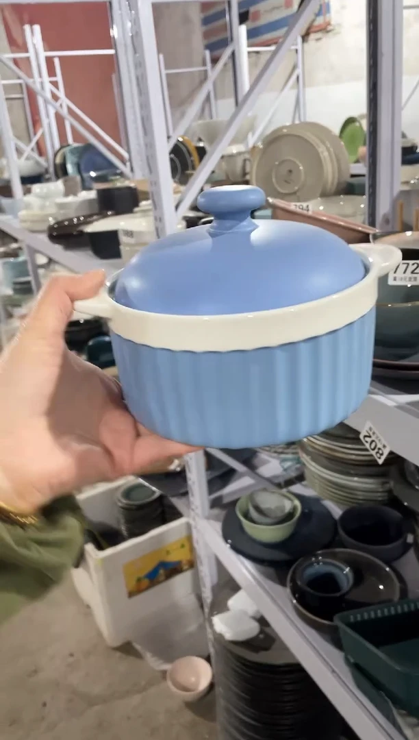 【闪购商品】碗微瑕（1个装）蓝色带盖双耳碗