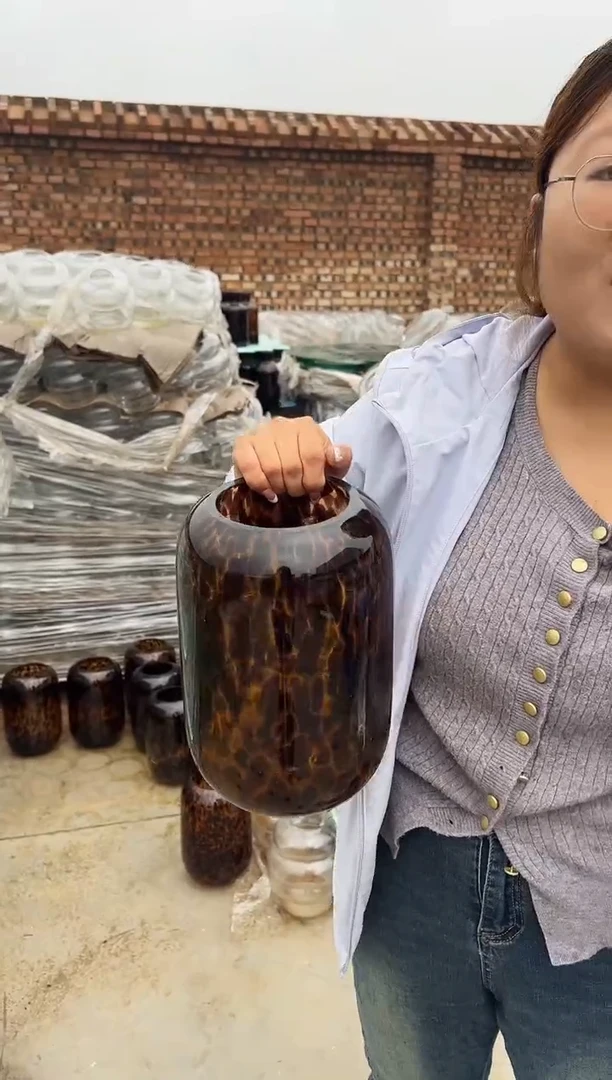 花瓶客厅餐桌插花装饰好物大