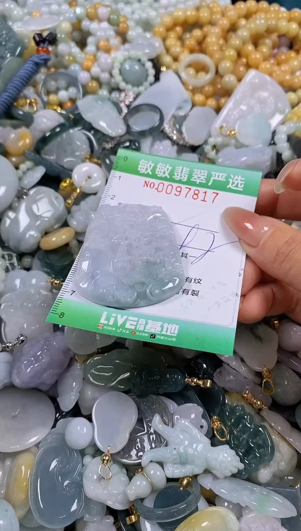 【闪购商品】翡翠颈饰未镶嵌闪购0097817多样性发其一