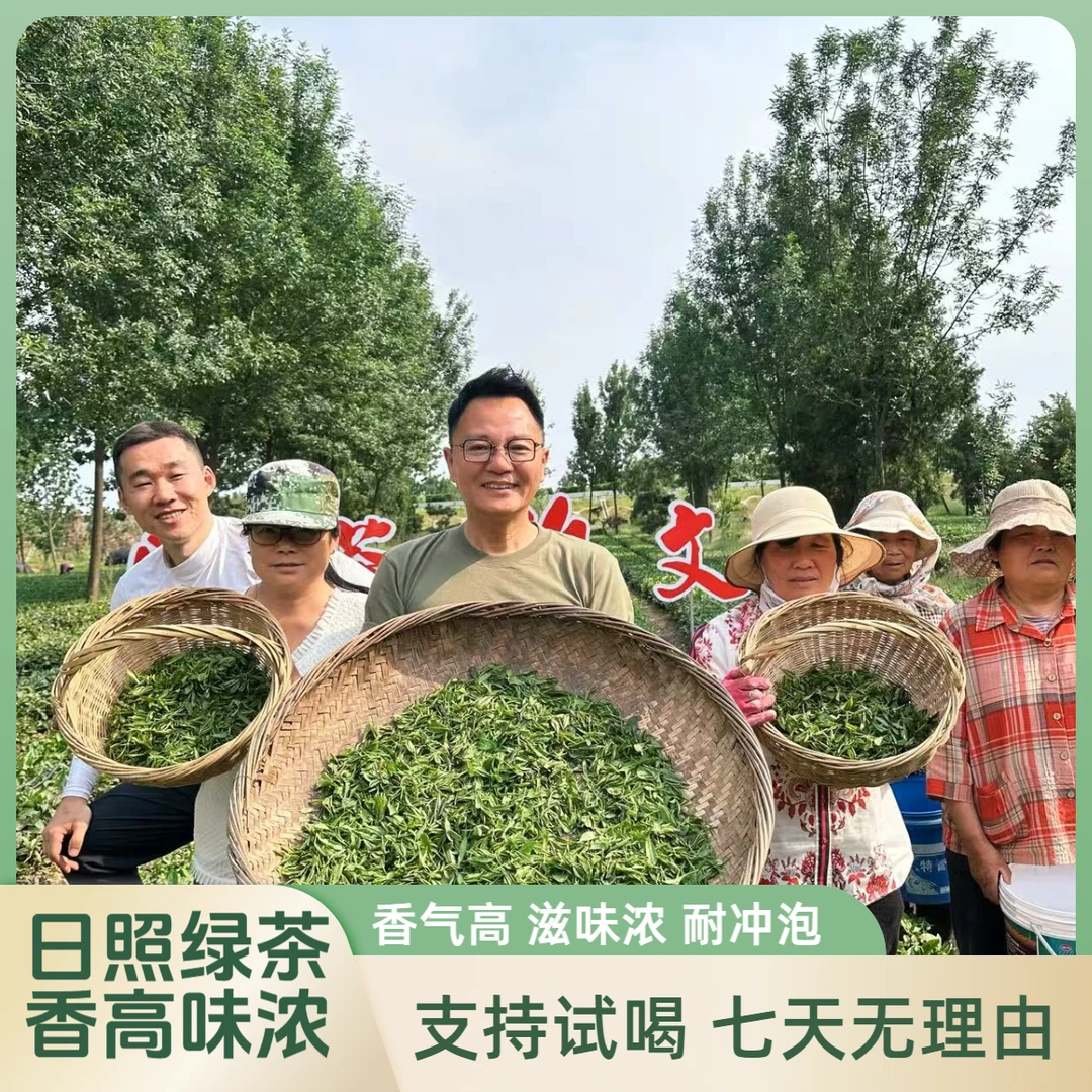 《武文专属》2025年新正宗日照绿茶春茶口感浓郁耐泡香气高520装