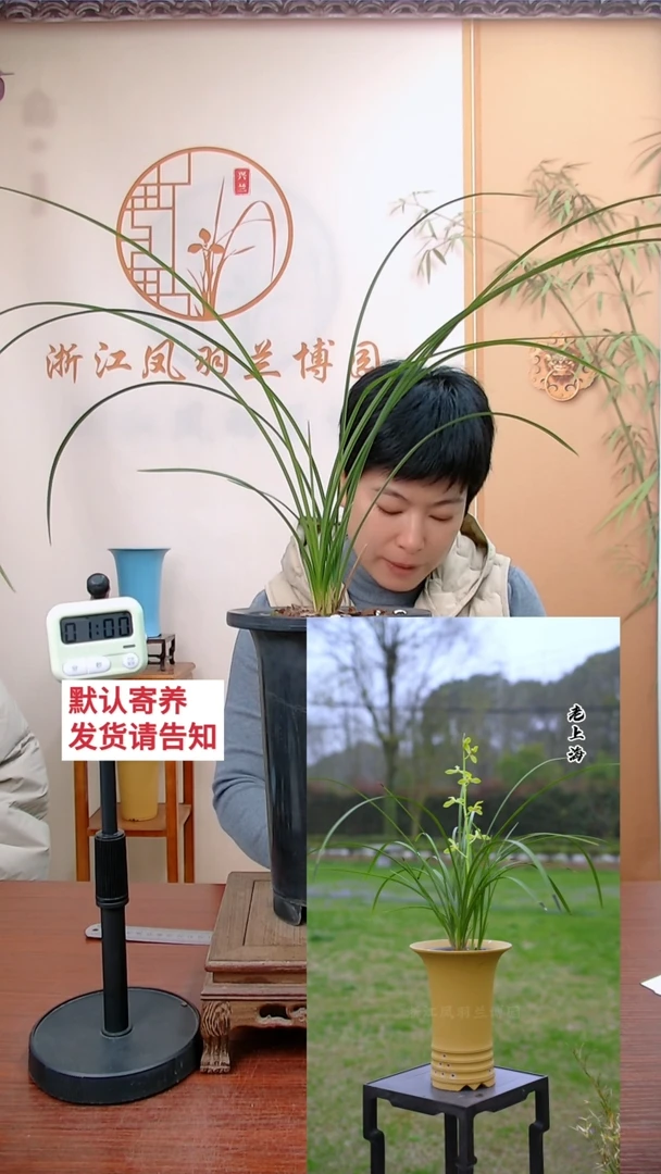 【闪购商品】老上海，3544