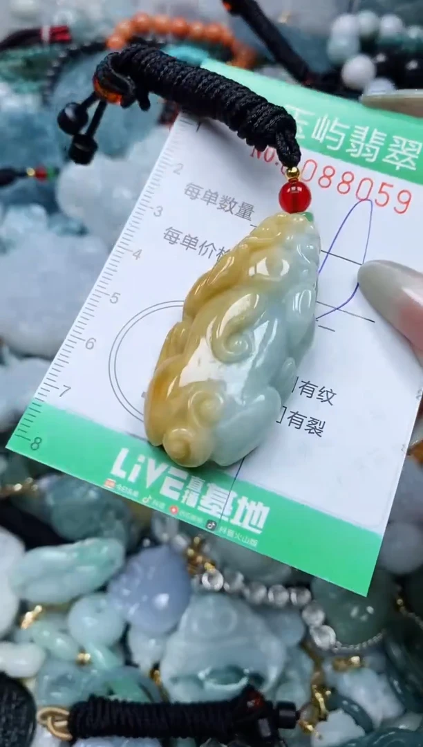 【闪购商品】翡翠颈饰未镶嵌闪购0088059