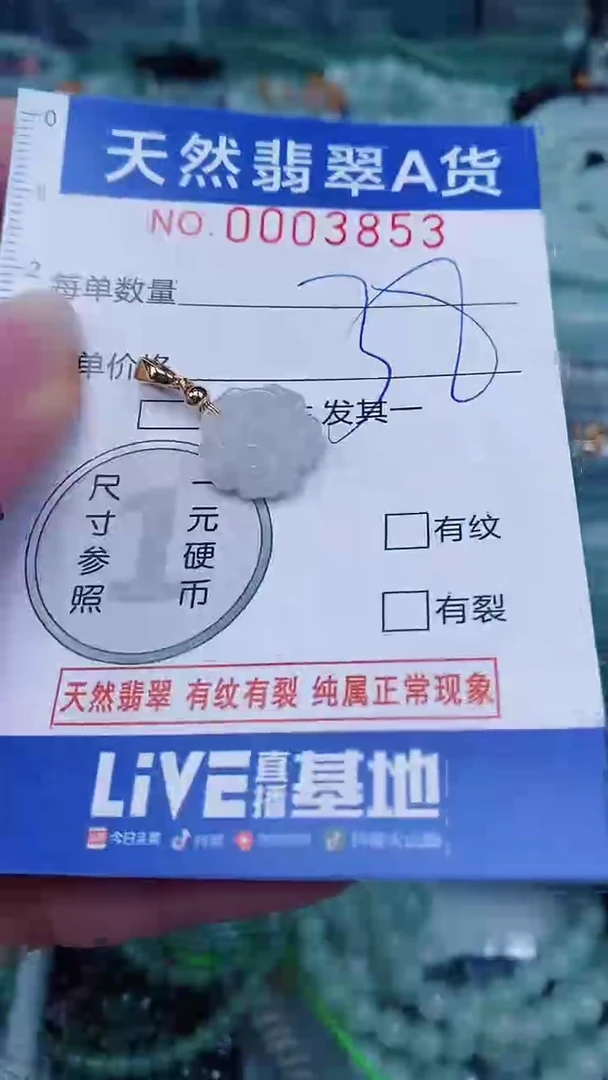 翡翠未镶嵌颈饰00003853