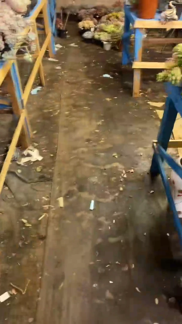 【闪购商品】1578彩虹糖