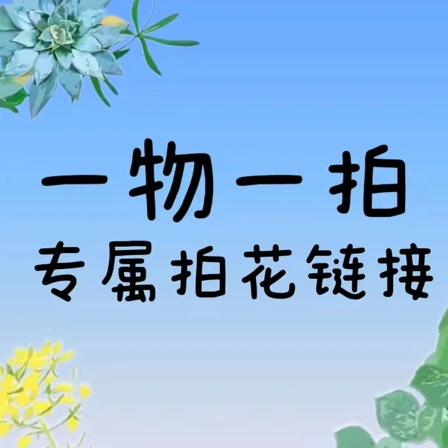 泰国秋石斛一物一拍《２号》链接(直播间专属链接，请勿盲拍）
