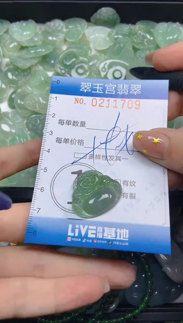 颈饰未镶嵌翡翠闪购C0211709多样性发其一