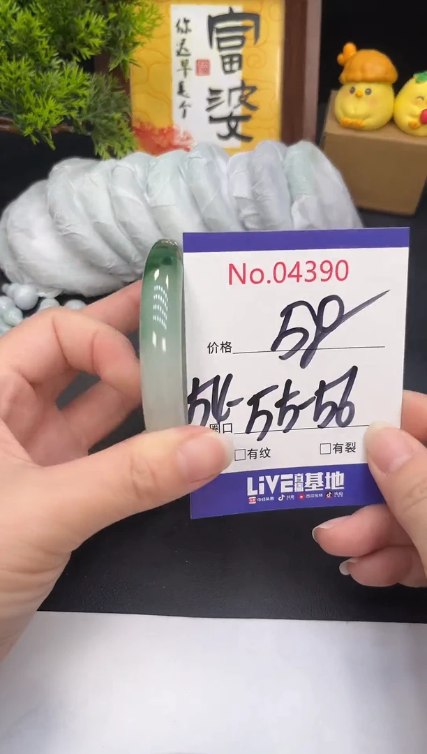 未镶嵌手镯翡翠4390