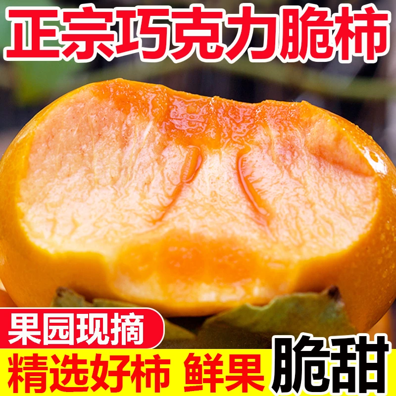 山西阳丰脆甜柿子新鲜应季水果巧克力柿子整箱果园直发