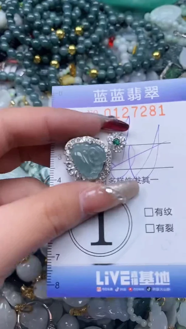 【闪购商品】翡翠颈饰未镶嵌闪购0127281多样性发其一