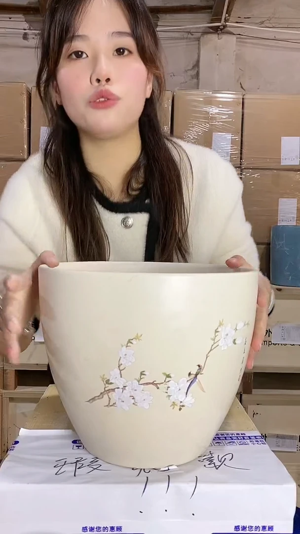 【闪购商品】陶瓷A80