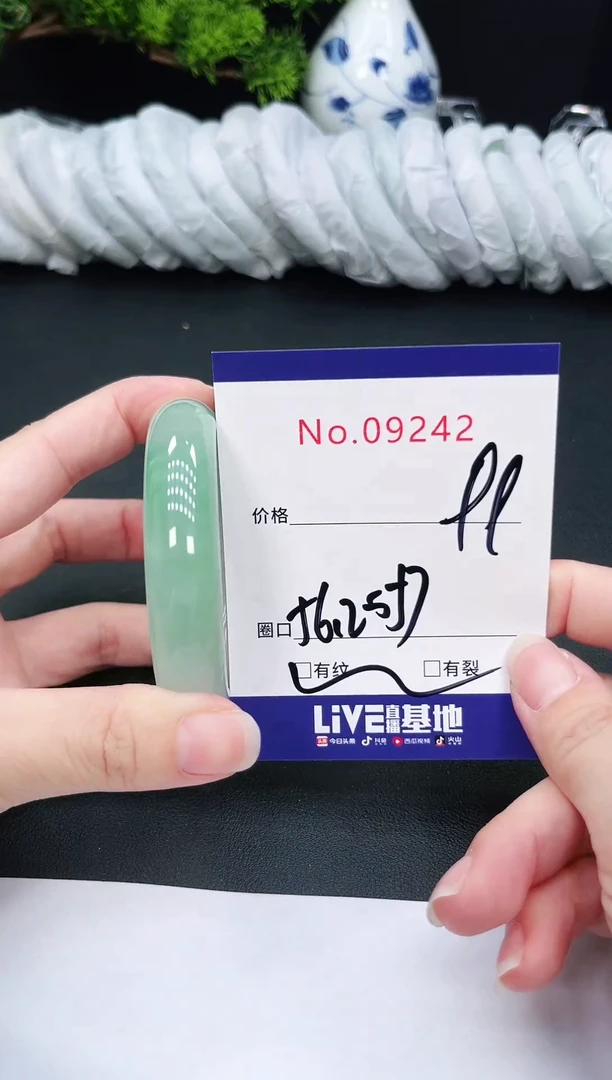 未镶嵌手镯翡翠9242