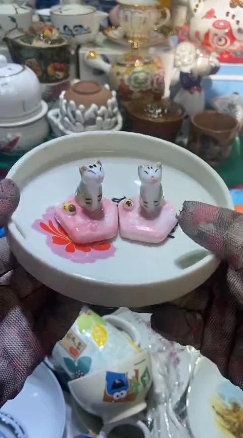 【闪购商品】瓷片1111111111111111