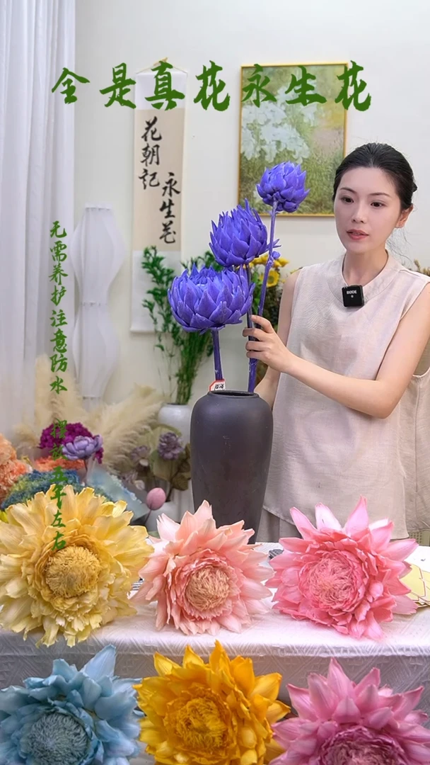 永生洋蓟三个头紫色522