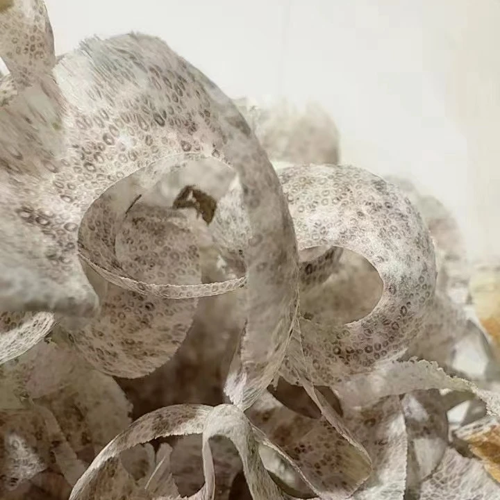 （现收山货）圆珠尺寸0.8-2.0 非香菇