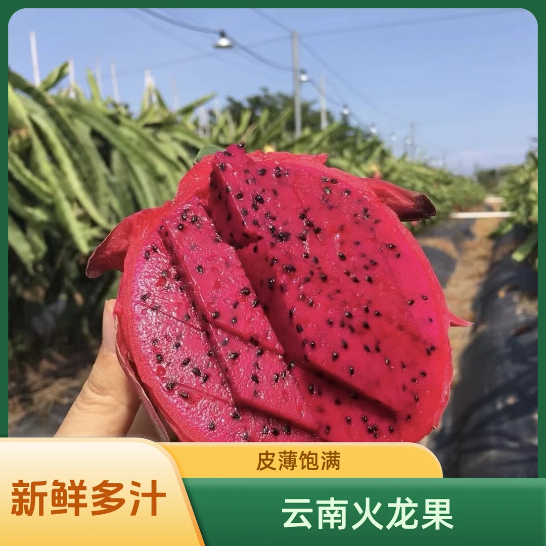 云南红心火龙果新鲜饱满皮薄多汁当季热带水果