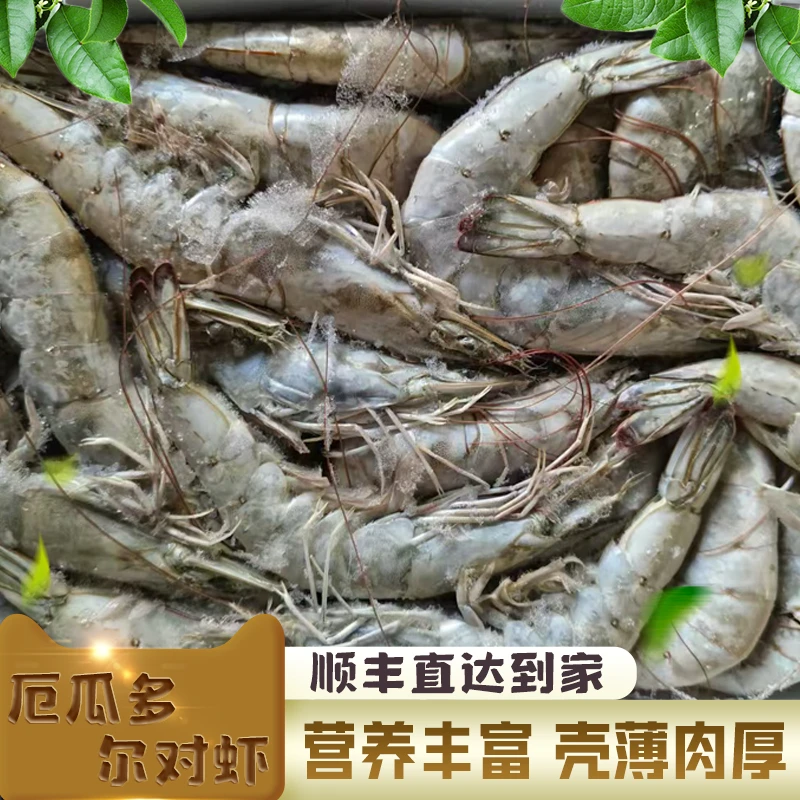 【冷链直达】甄选30/40海捕大虾3.3斤盐冻冷冻厄瓜多尔白虾原盒
