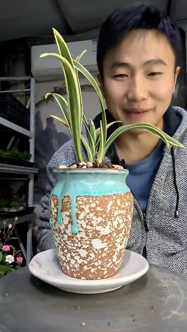 阿*中青园艺一物一拍402