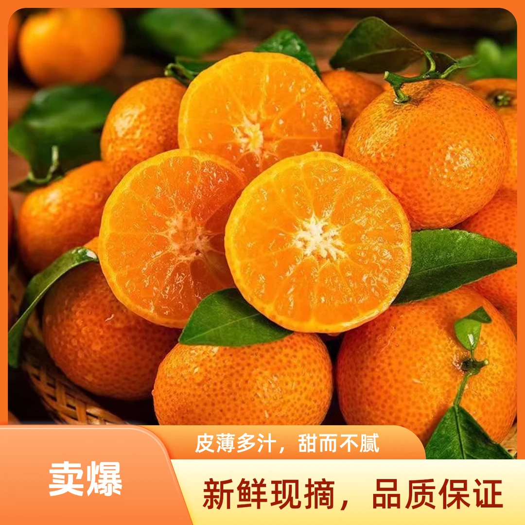 【精选果】正宗广西沙糖桔新鲜桔子薄皮砂糖橘带箱5斤以上应季水果沙糖桔