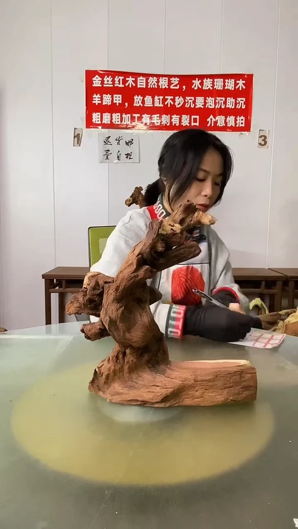 木信*化金丝红木  羊蹄甲