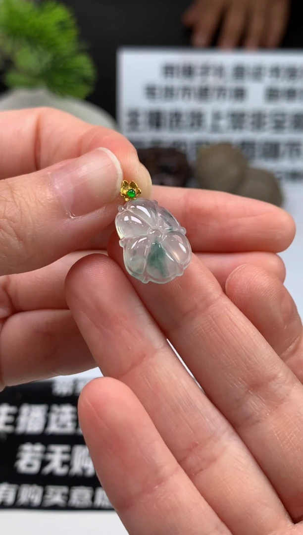 颈饰未镶嵌翡翠十****康---106374