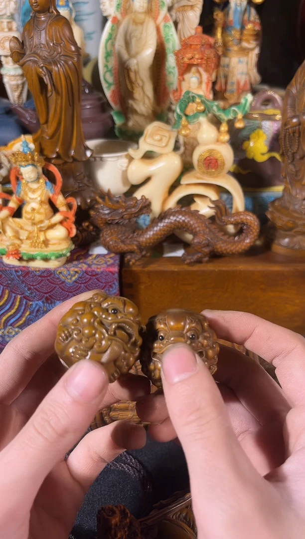 黄杨木11111111111