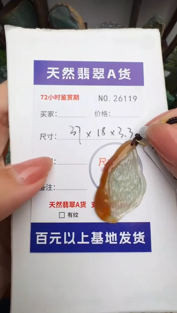 颈饰未镶嵌翡翠原石26119