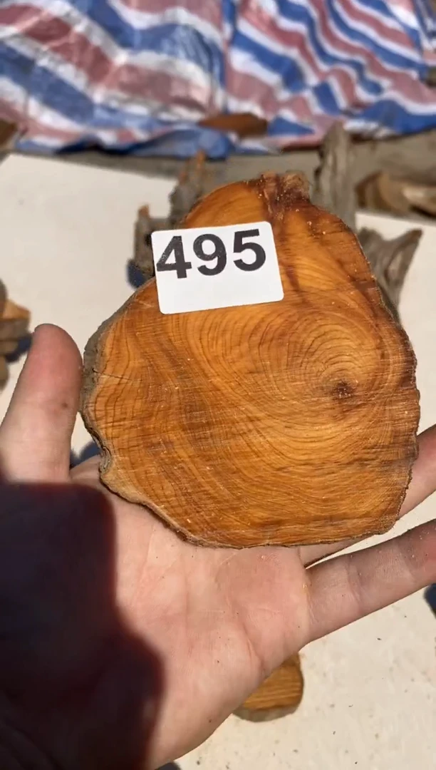 柏木（崖柏）太行陈化崖柏切片一块（津诚林）495