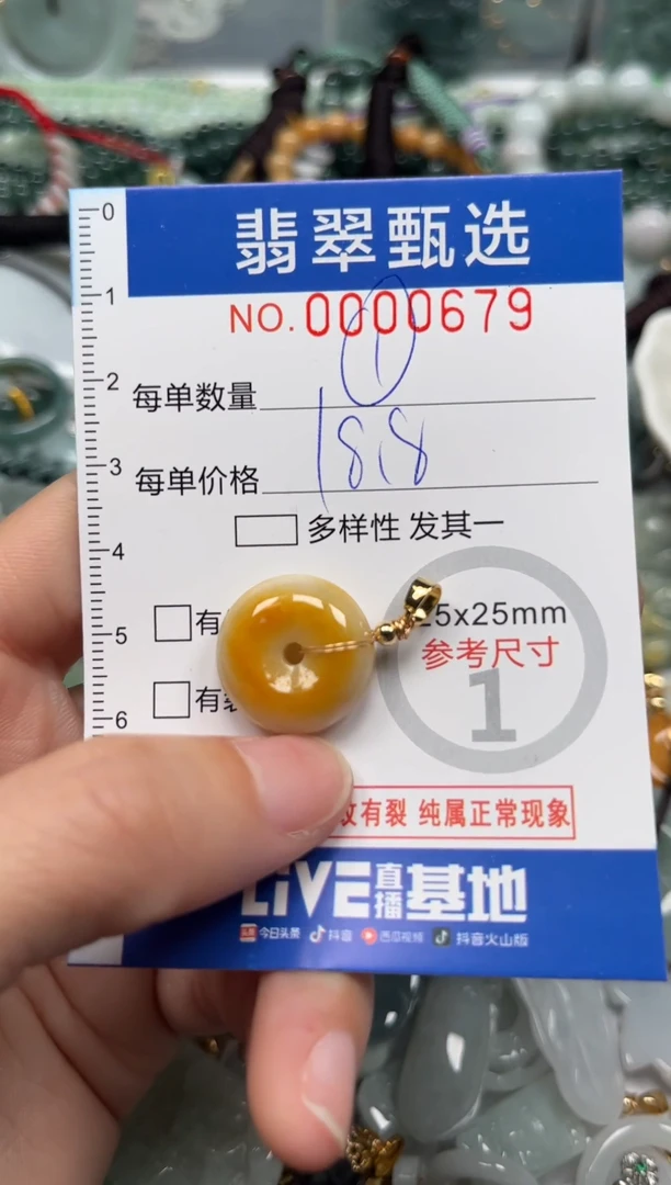【闪购商品】翡翠颈饰未镶嵌00..0679