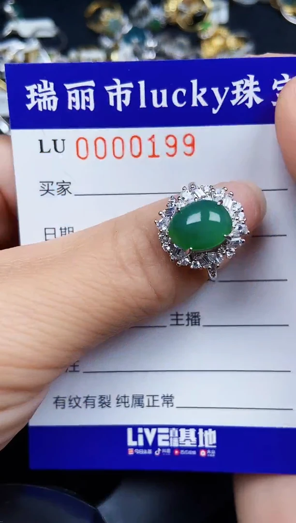 翡翠银S925镶嵌颈饰0199