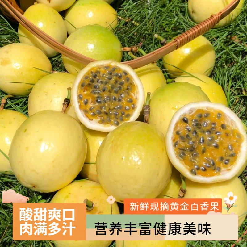 钦蜜九号正宗黄金百香果大果新鲜现摘当季水果坏果包赔