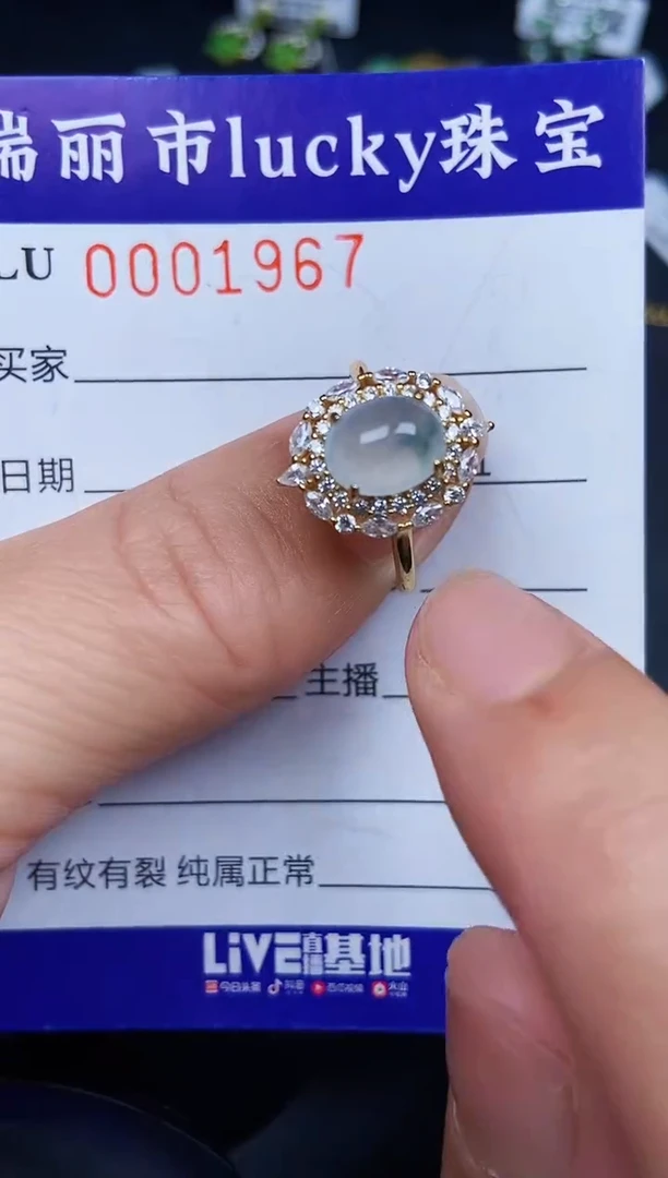 翡翠银S925镶嵌颈饰1967