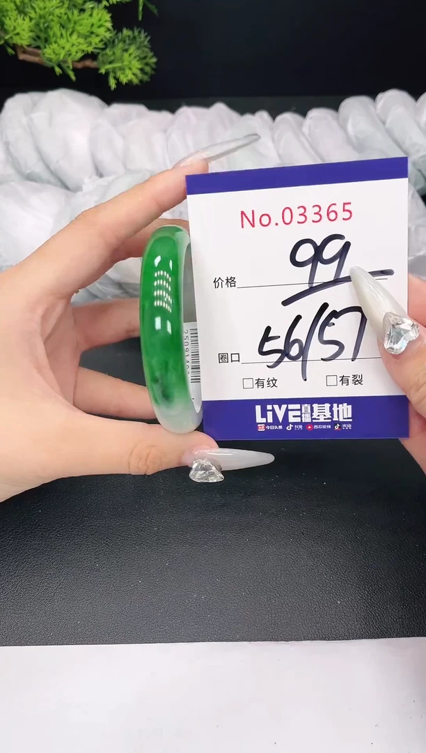 未镶嵌手镯翡翠03365