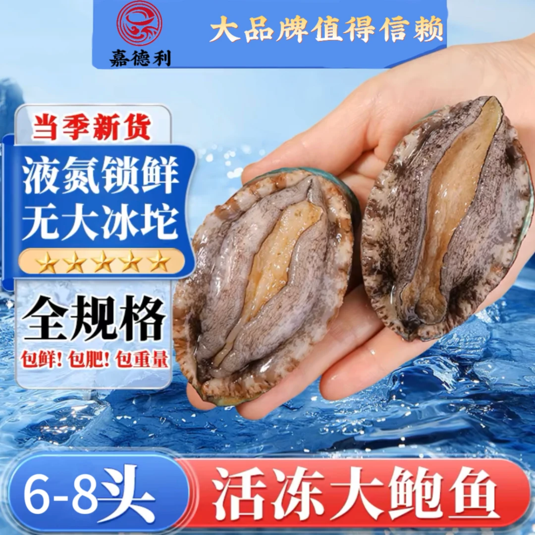 【嘉德利】东山岛原产地6*8头特大鲍鱼6-7cm液氮锁鲜鲍鱼
