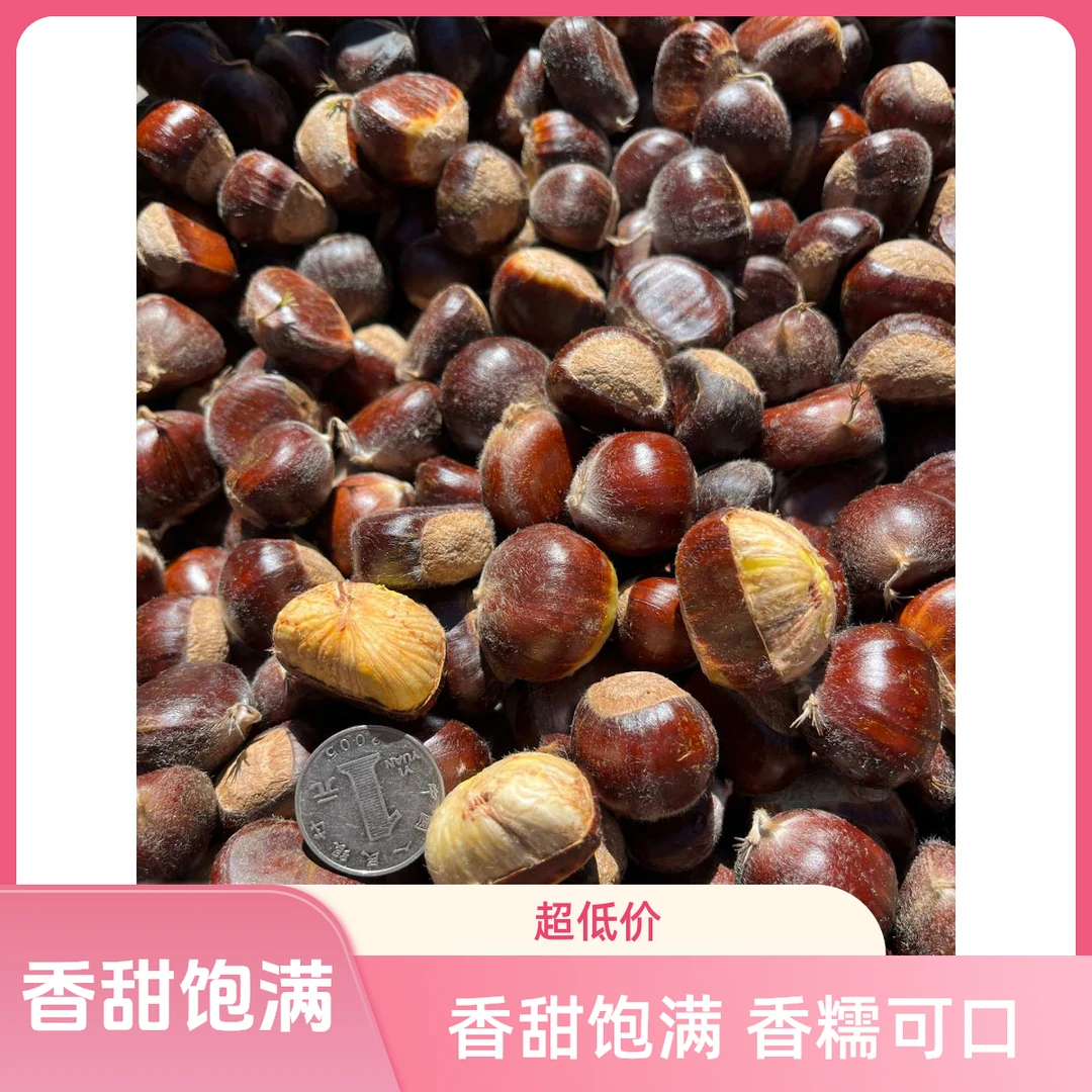 兴隆正宗高山长城老树板栗新鲜香甜颗颗饱满香糯【难剥皮送剥皮器】