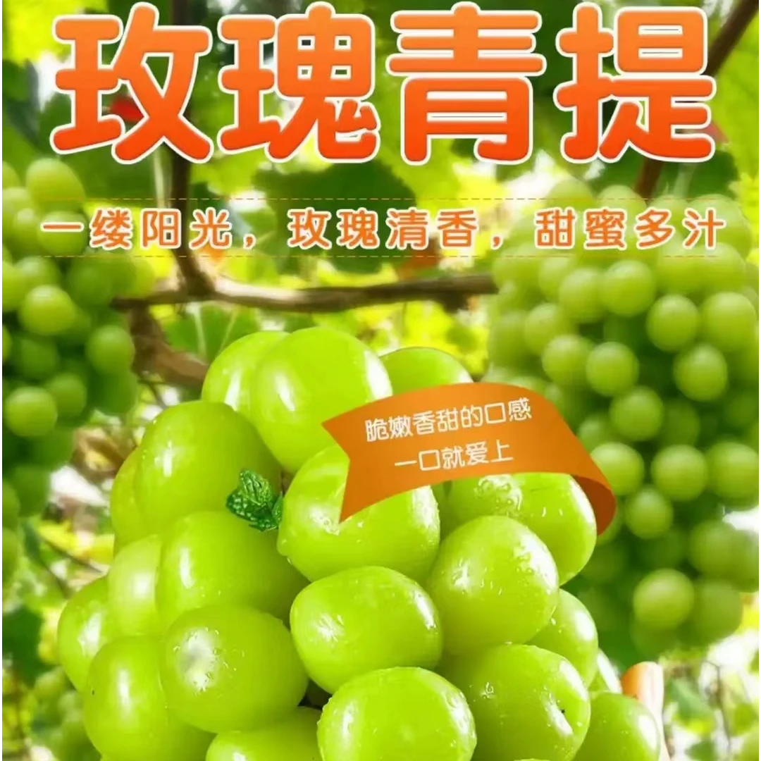 阳光玫瑰葡萄青提净重四斤以上，吊粒5颗以下无售后