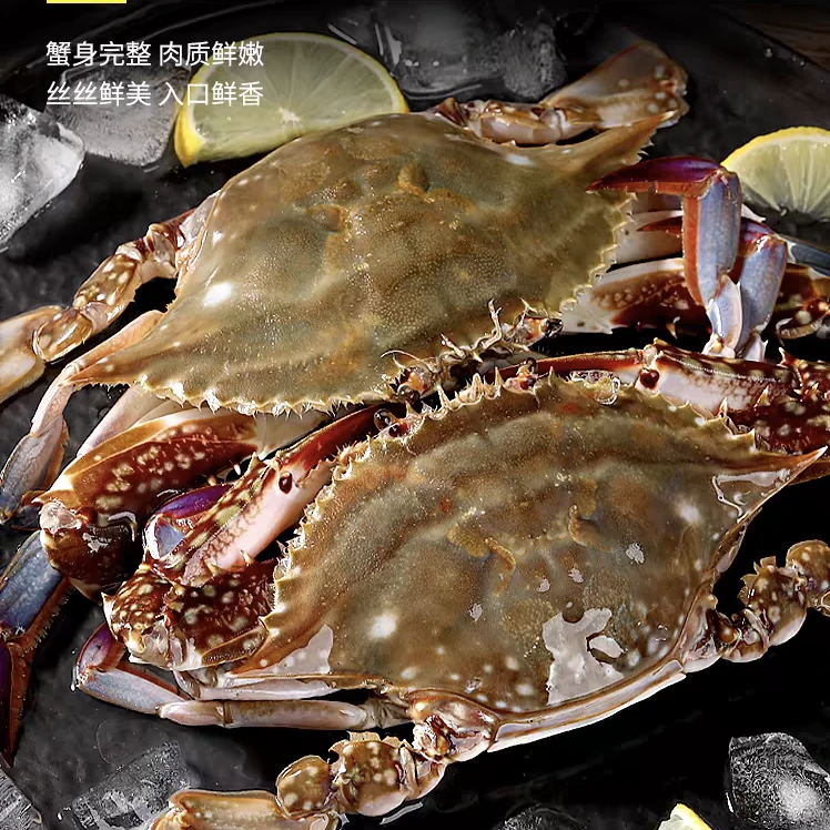 【鲜活】渤海湾蟹3斤-5斤（保鲜不保活）