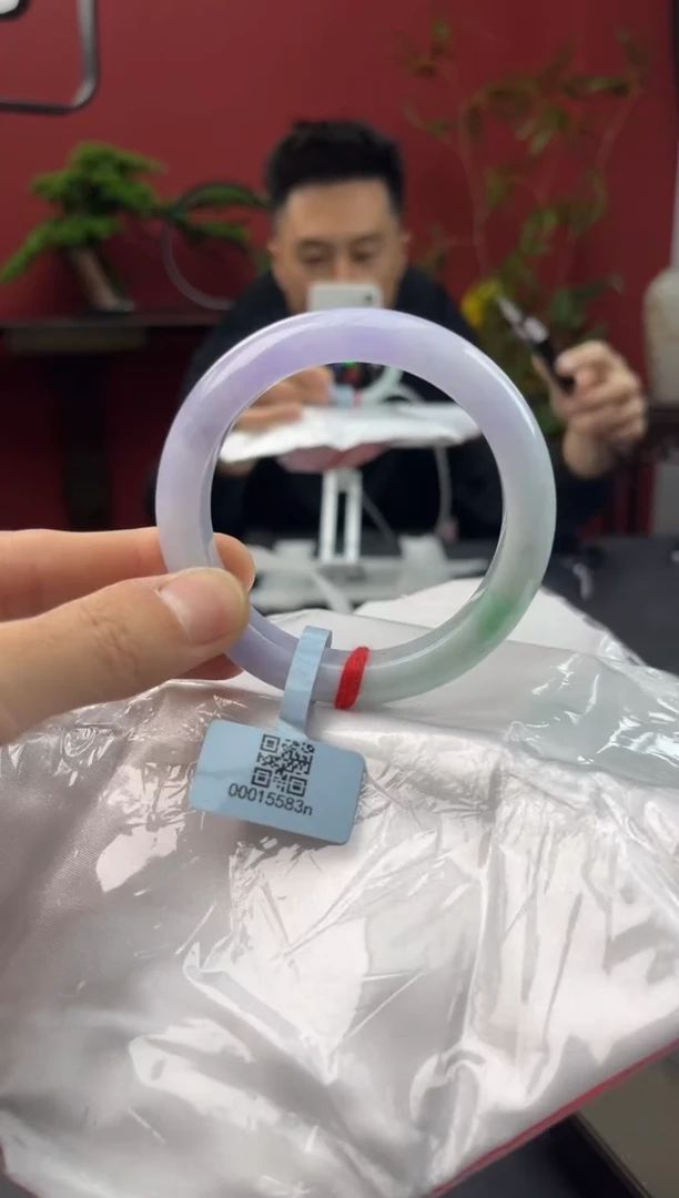 未镶嵌手镯翡翠8