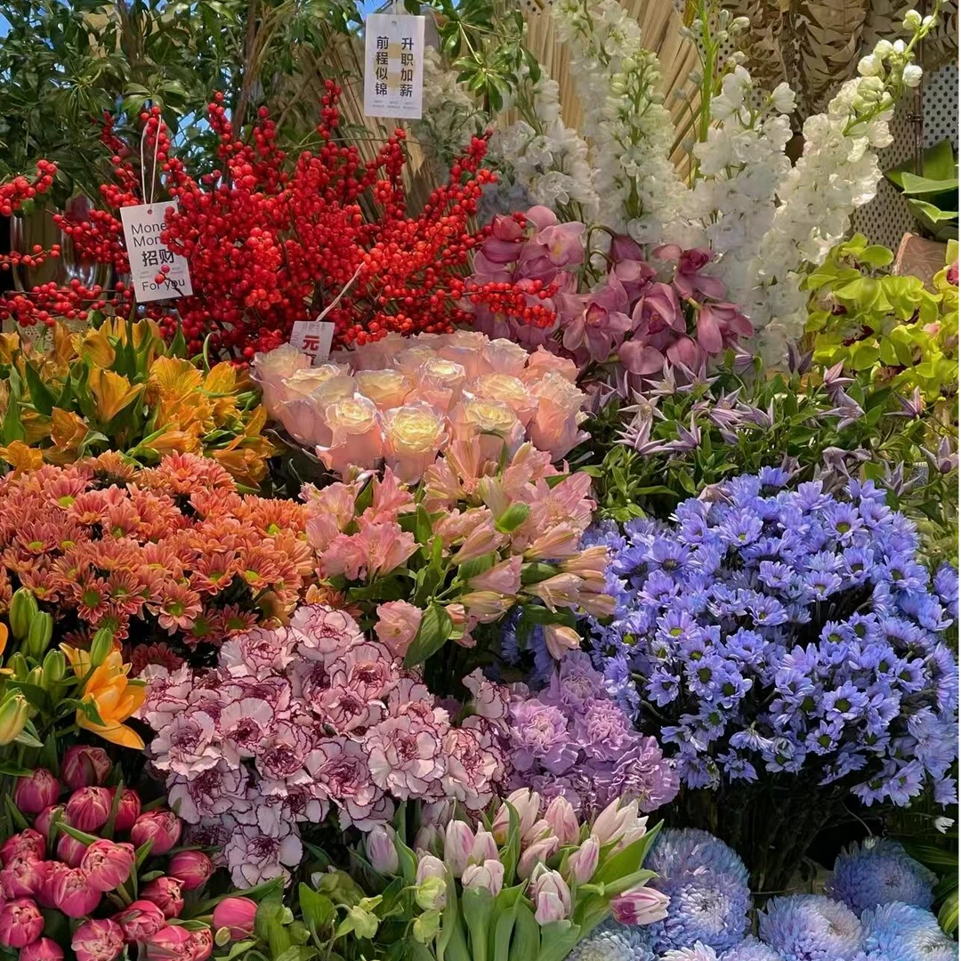 【高原红10枝+橙芭比5枝+粉百合4朵+草}【雪姐专属】家用鲜花鲜切花