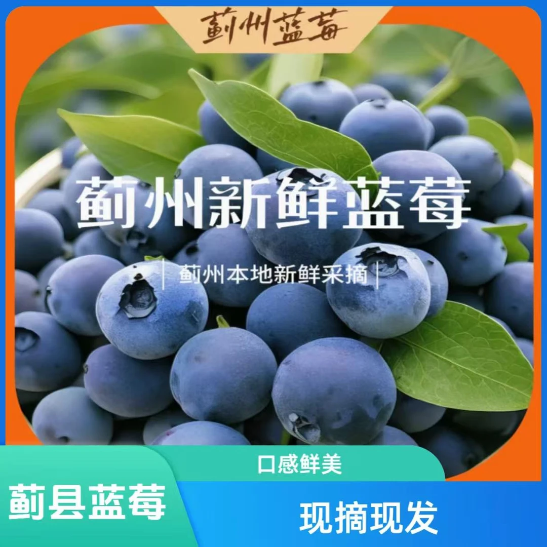 【次日达】天津市蓟县马伸桥蓝莓农场采摘园现摘现发480g±（12-15mm）天津市