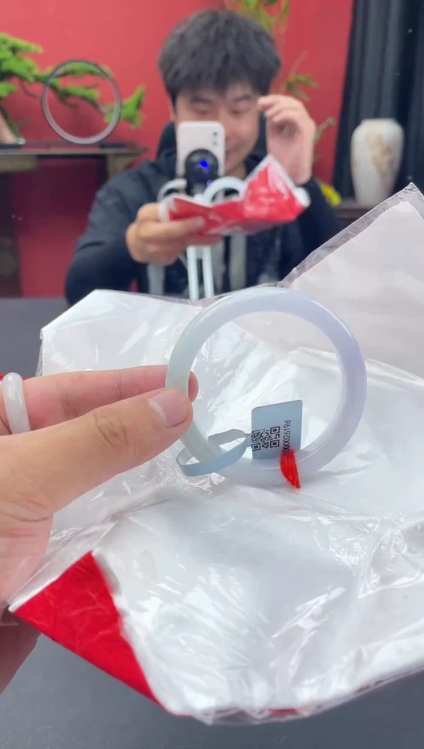 未镶嵌手镯翡翠15